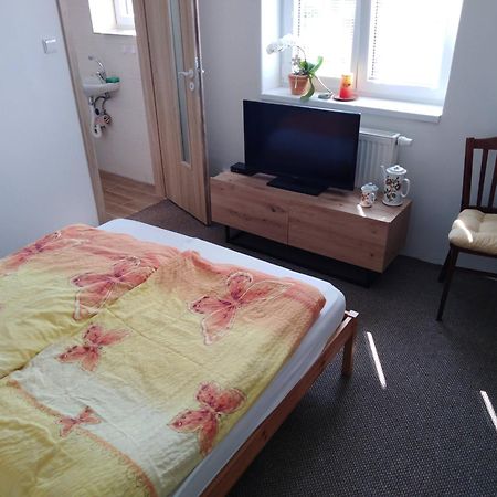 Ubytovani V Soukromi Libice Nad Cidlinou Extérieur photo